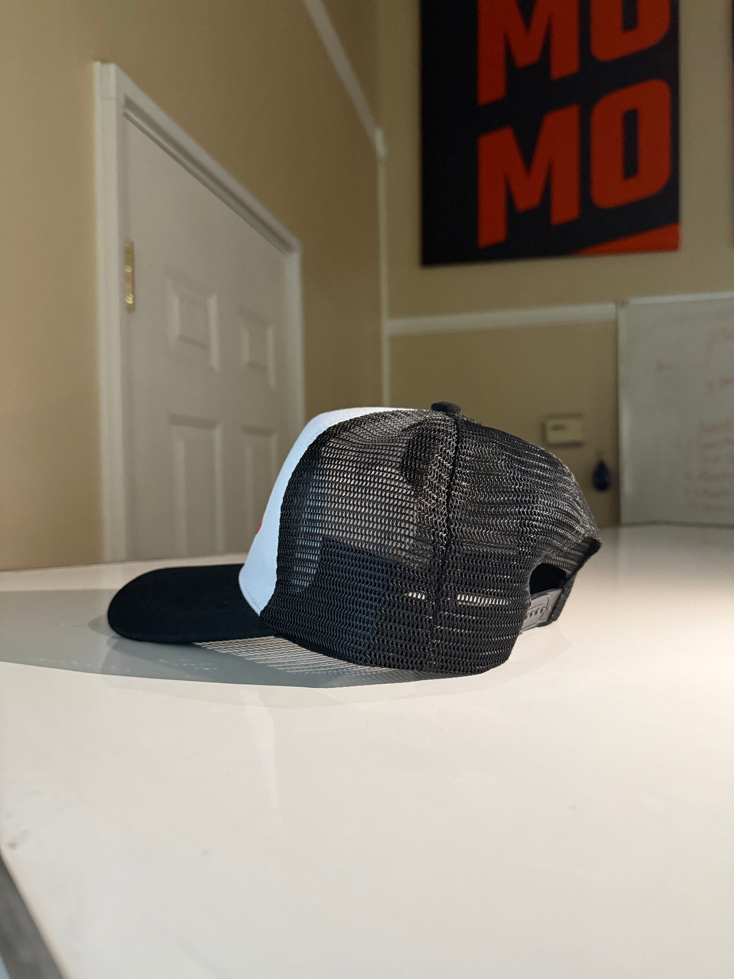 Bears Hat