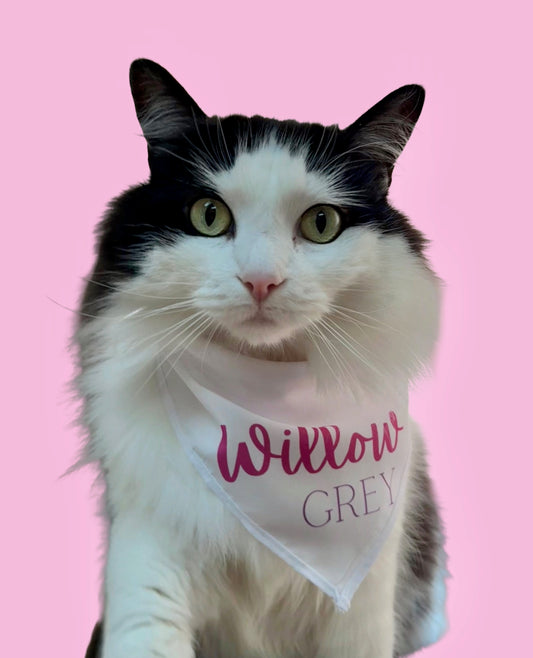 Custom Pet Bandana